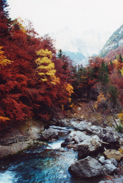 brutalgeneration:  Parque Nacional Ordesa (by ribizlifozelek)