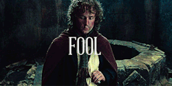  LOTR ALPHABET » Peregrin “Pippin” Took  “The road goes