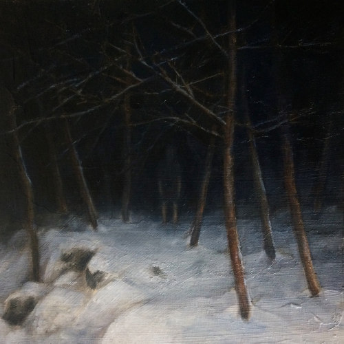virtuallyinsane-dark:  “Nighttime Woods” by Dillon Samuelson