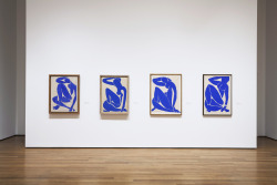 no2everything:  Henri Matisse: The Cut-Outs on display now at