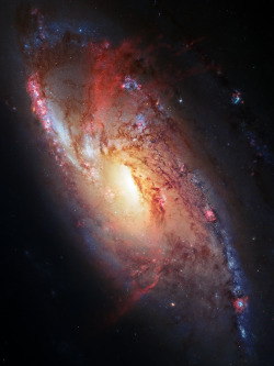 just–space:  Spiral Galaxy M106  js