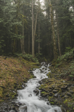 millivedder:  Over the River and Through the Woods Flickr|Facebook|Tumblr|Society6