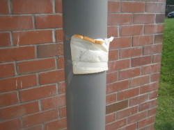 sleepy-zombieboy:  meladoodle:  my friends taped bread everywhere