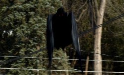 sixpenceee:  Humanlike flying creature sighted in Chile A strange