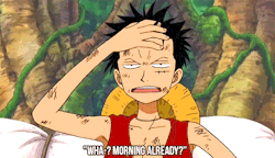 usoqq:  Favourite One Piece scenes → Luffy imitating Zoro