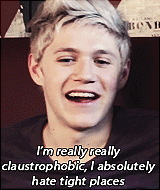 lewisandneil:  “I’m Niall Horan and I’m from Mullingar