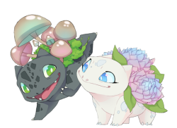 jojacula:Yes theyre toothless and light fury themed youre welcome