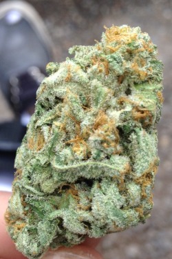 weliketosmokeweed:White rhino.. So crystally