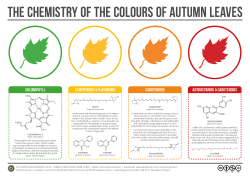 compoundchem:  With autumn on the horizon, this graphic looks