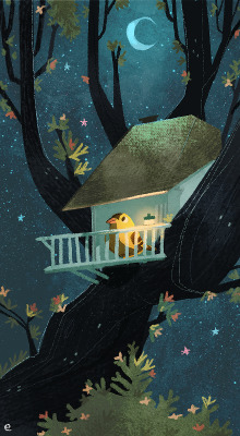 everydaylouie:  mr. goldfinch at night 