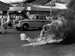 hermesx3:  Quang Duc self-immolation - Malcolm Browne