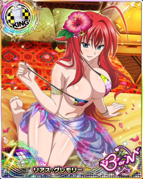 levantein:  Summer Hols is Here !!!And I share you all most beautiful girls of Highschool DxD.