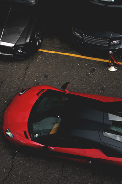 mistergoodlife:  Novitec ║ Via ║ Goodlife 