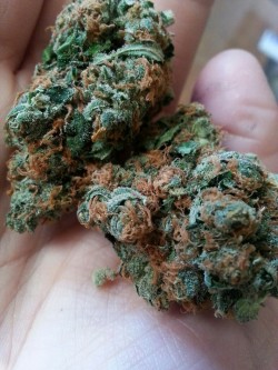 flyyyskyyyhighh:  Got that green crack (; 