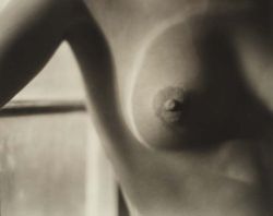 palomamia: Edward Weston 