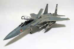 1/32 tamiya Plastic Model kit F15