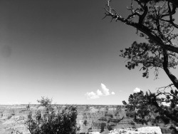 at Pima Point, South Rim Grand Canyon National Park