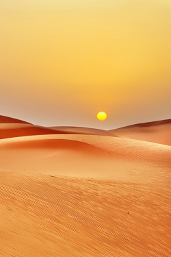 expressions-of-nature:  213 by Abdulrhman Alammar 