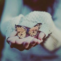 rumeysa9711:  Life can be like a butterfly. on We Heart It. http://weheartit.com/entry/43864917