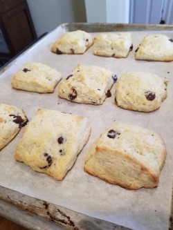 Today I made…Almond Scones with dark chocolate chips and mock