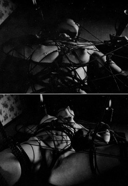 mistresssonjablue:  necrodisiac:  x  Just one of those nights