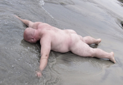 Meu Album de Gordos