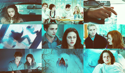  Color palette of The Twilight Saga. Based on the various tints