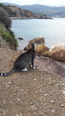 standing on the beach, staring at the sea