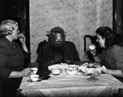 Farmer Mrs Maud Lee and her daughter Pat enjoy elevenses at their