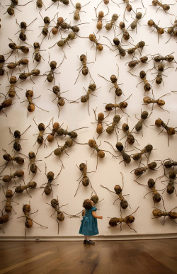 wetheurban:  ART: Invasive Ant Art Installations by Rafael Gómezbarros