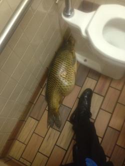 takshammy:  This week on “I found it in the McDonald’s bathroom”