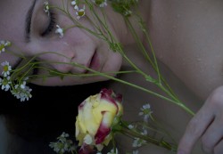 brookelynne:  roses & camomile | self-portraits  •✧{