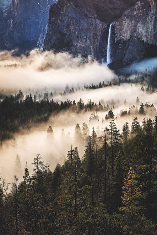 “Misty Veil” - Bridal Veil Falls, Yosemite Valley, CaliforniaPhorographer: Jared Warren