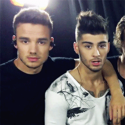 gay4zayn:  x 