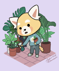 taliamirai:  I hope he’s happy <3 Aggretsuko is super cute