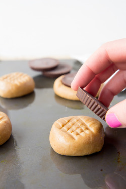 sweetoothgirl:PEANUT BUTTER CUP PEANUT BUTTER COOKIES