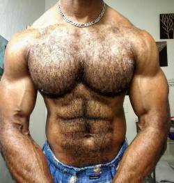 skippypodar:  Most muscular Tuesday - 10.4.2016 #AlphaMale #HairyChestSwag