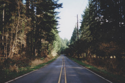 magicsystem:  (by chooseanalog)
