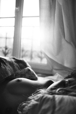 schmackebaetzchen:  amaryllis-01:          “Let her sleep,