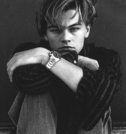 Leonardo DiCaprio Daily