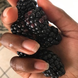 aarreisierraa:enchanted black berries