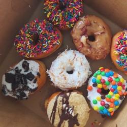 carolinewellborn:Donut worry we tried them all 🍩