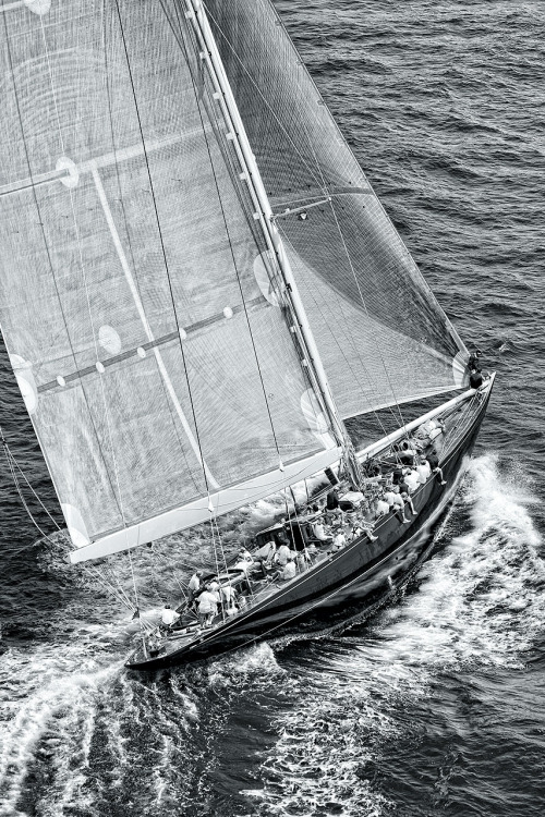 sailor-boy-rocky:  Â  Â  Â  Â  Great Racing Yachtâ€¦â€¦â€¦â€¦.. 