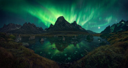 enchanting-landscapes:  The Green Octopus by Max Rive