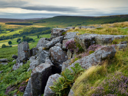 wanderthewood:  Carhead Rocks, Peak Distict, England by Issa