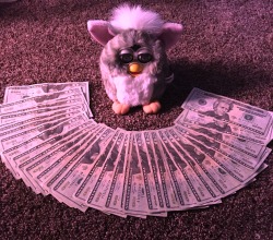 furbykisses: This is the money furby, reblog for good luck in