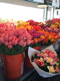 lalizy:  flower appreciation (in seattle public market)