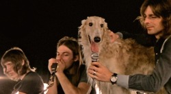 doggos-with-jobs:  Bone-a-fied (former) member of Pink Floyd.