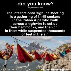 did-you-kno:  The International Highline Meeting is a gathering