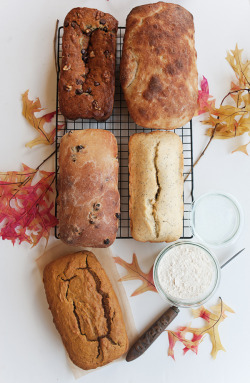 craving-nomz:  Fall Bread Recipes 